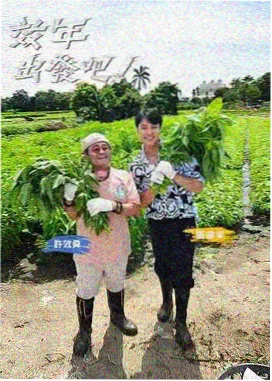 红桃电影网音乐综艺声音试验场海报